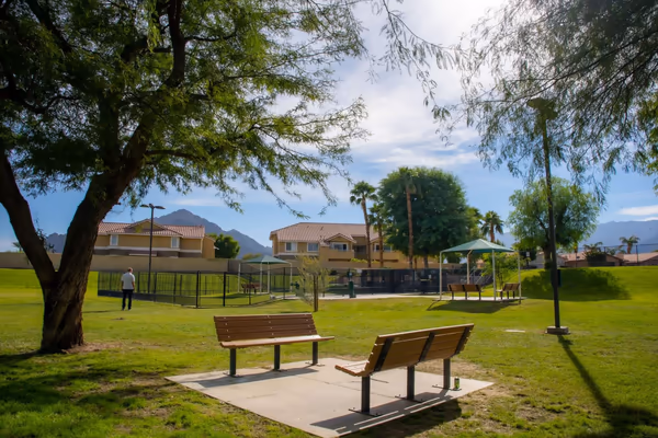 Seasons Dog Park photo 2